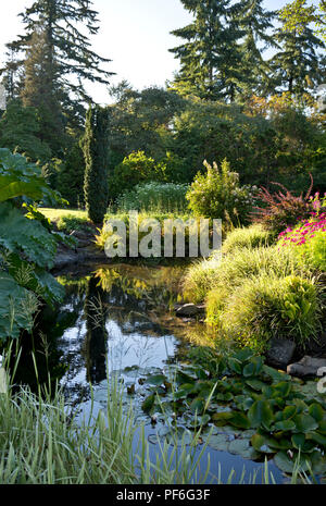 Queen Elizabeth Park in Vancouver, BC, Kanada. Schöne Pflanzen und Teich in den Gärten im Spätsommer. Stockfoto