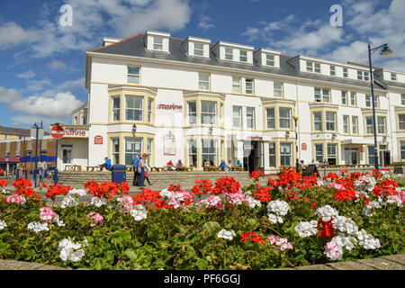 Die Marine Wohnungen direkt am Meer in Porthcawl, Wales. Im Vordergrund steht eine Blume mit roten Blüten. Stockfoto