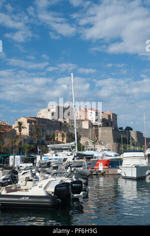 Der Hafen von Calvi mit der alten Zitadelle hinter der Balagne, Korsika, Frankreich, Europa Stockfoto