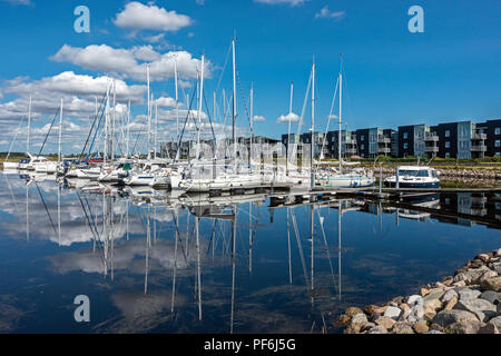 Marina Fjordparken Limfjorden in Aalborg Jütland Dänemark Europa mit angelegten Yachten und Segelboote im Hafen an einem sonnigen Tag wider Stockfoto