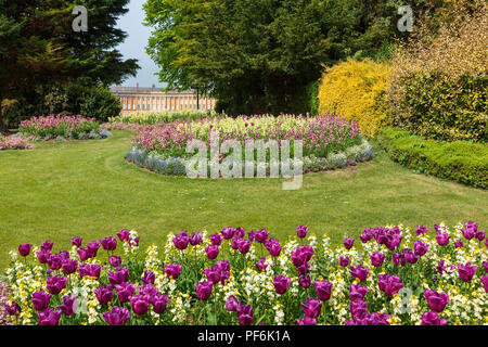 Blumenbeete im Royal Victoria Park, Bath, England mit dem berühmten Royal Crescent gesehen in der Ferne hinter sich. Stockfoto