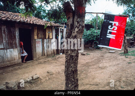 Managua, Nicaragua, Wahlen, Juni 1986; Eine FSLN Flagge hängt von einem Baum in der armen Nachbarschaft von Ciudad Sandino. Stockfoto