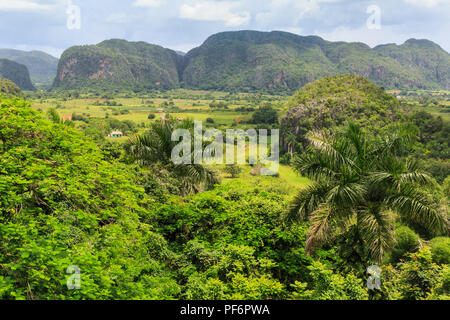 Viñales Tal Panorama, Blick über üppig grüne Landschaft, Provinz Pinar del Rio, Kuba Stockfoto