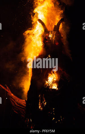Glanusk Park, Brecon, Wales, 19. August 2018. Tag Drei der Grüne Mann Musik Festival in die Brecon Beacons Berge in Wales. Im Bild: Der riesige Grüne Mann Wicker Man leuchtet um Mitternacht am letzten Tag des Festivals. Bild: Rob Watkins/Alamy Stockfoto