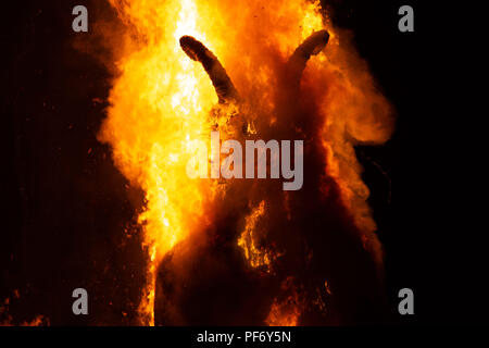 Glanusk Park, Brecon, Wales, 19. August 2018. Tag Drei der Grüne Mann Musik Festival in die Brecon Beacons Berge in Wales. Im Bild: Der riesige Grüne Mann Wicker Man leuchtet um Mitternacht am letzten Tag des Festivals. Bild: Rob Watkins/Alamy Stockfoto