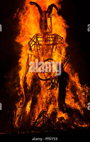 Glanusk Park, Brecon, Wales, 19. August 2018. Tag Drei der Grüne Mann Musik Festival in die Brecon Beacons Berge in Wales. Im Bild: Der riesige Grüne Mann Wicker Man leuchtet um Mitternacht am letzten Tag des Festivals. Bild: Rob Watkins/Alamy Stockfoto