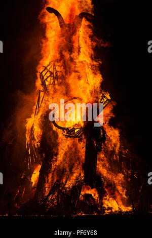 Glanusk Park, Brecon, Wales, 19. August 2018. Tag Drei der Grüne Mann Musik Festival in die Brecon Beacons Berge in Wales. Im Bild: Der riesige Grüne Mann Wicker Man leuchtet um Mitternacht am letzten Tag des Festivals. Bild: Rob Watkins/Alamy Stockfoto