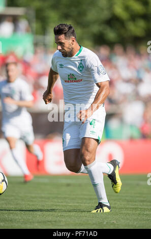 Worms, Deutschland. 18 Aug, 2018. Claudio Pizarro (HB) handeln. Fußball-DFB-Pokal, 1. Runde, wormatia Worms - SV Werder Bremen (HB) 1:6, am 18/08/2018 in Worms/Deutschland. ##DFL-Bestimmungen verbieten die Verwendung von Fotografien als Bildsequenzen und/oder quasi-Video## | Verwendung der weltweiten Kredit: dpa/Alamy leben Nachrichten Stockfoto