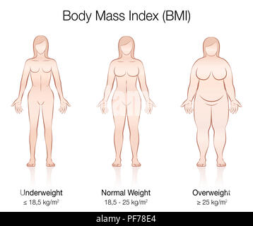 Body Mass Index BMI. Untergewicht, Normalgewicht und Übergewicht weibliche Körper - Darstellung der drei Frauen mit unterschiedlichen Anatomie. Stockfoto