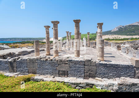 Ruinen Baelo Claudia, Bolonia, Cadiz, Costa de la Luz, Andalusien, Spanien Stockfoto