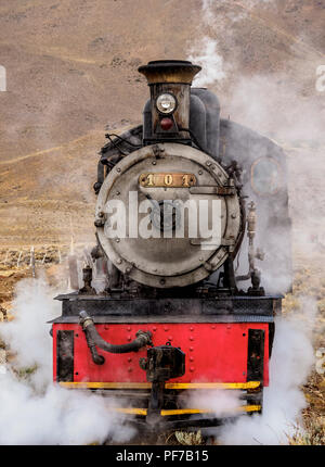 Old Patagonian Express La Trochita, Dampfzug, Nahuel Pan Bahnhof, Provinz Chubut, Patagonien, Argentinien Stockfoto