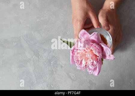 Womans hand Halten Sie ein elegantes rosa Pfingstrose in einem Glas Vase auf einem grauen Stein Tabelle mit kopieren. Stockfoto