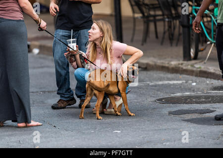 New Orleans, USA - 22. April 2018: Nahaufnahme der jungen Frau Streichelzoo Hund lächelnd mit Drink in der Altstadt Bourbon Street in Louisiana berühmten Stadt, Stadt Stockfoto