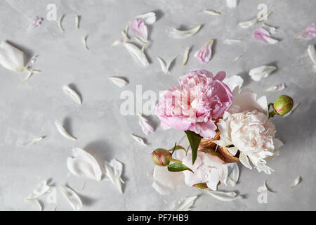Kreative Komposition aus zarten Blüten Pfingstrose in einem Wafer Kegel und Glas Vase mit Blüten auf einem grauen Stein Tabelle, kopieren. Ansicht von oben. Konzept der c Stockfoto