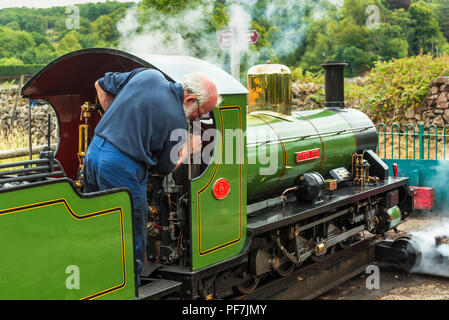 Dampflokomotive Fluss Irt auf drehsockel an Dalegarth Station auf dem Ravenglass und Eskdale Railway im Lake District. Stockfoto