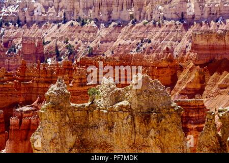 Schichten von Felsen in verschiedenen Farben in Bryce Canyon Stockfoto