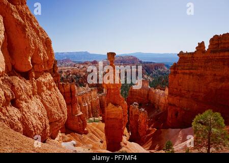 Rote Felsformationen im Bryce Canyon National Park Stockfoto