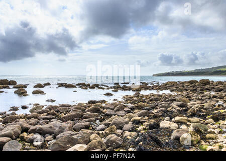 Die felsige Küste bei Kimmeridge Bay, Dorset, Großbritannien, Blick nach Westen Stockfoto