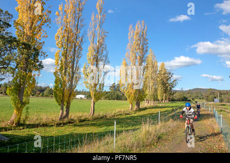 Radfahren auf der North East Rail Trail Stockfoto