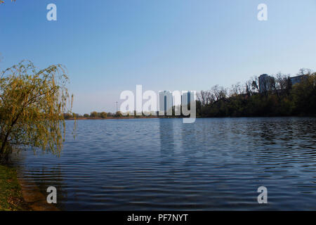 See im Park am Morgen Stockfoto