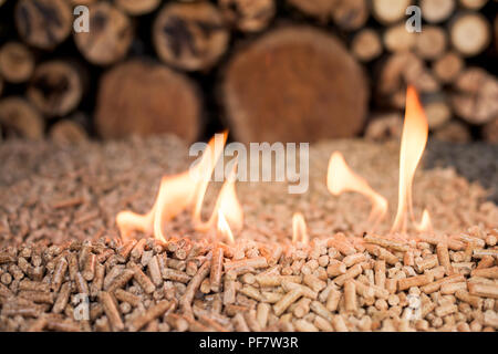 Zwei Arten von Pellets vor Stapel Holz in Flammen Stockfoto