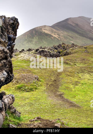 Wanderweg zwischen Lavaformationen in Landmannalaugar, Island Stockfoto