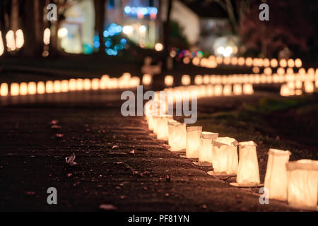 Heiligabend Kerzen, Laternen in Papiertüten in der Nacht entlang der Straße, Straße, weg von Häusern im Wohnquartier in Virginia beleuchtet Stockfoto