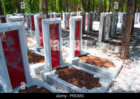 CANAKKALE, Türkei - 10. AUGUST 2018: Canakkale Martyrs Memorial Soldatenfriedhof ist ein Kriegerdenkmal zum Gedenken an den Service von türkischen Soldaten Stockfoto