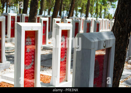 CANAKKALE, Türkei - 10. AUGUST 2018: Canakkale Martyrs Memorial Soldatenfriedhof ist ein Kriegerdenkmal zum Gedenken an den Service von türkischen Soldaten Stockfoto