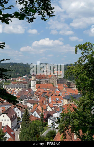 Die Stadt und die Kirche des Heiligen Johannes, Sigmaringen, Baden-Württemberg, Deutschland Stockfoto