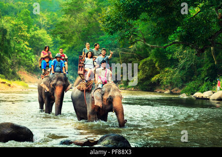 Touristische reiten auf Elefanten Trekking in Thailand junge Touristen sind Reiten auf Elefanten durch den Dschungel im Nationalpark Maetaman Elephant Camp Stockfoto