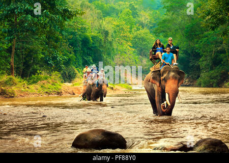 Touristische reiten auf Elefanten Trekking in Thailand junge Touristen sind Reiten auf Elefanten durch den Dschungel im Nationalpark Maetaman Elephant Camp Stockfoto