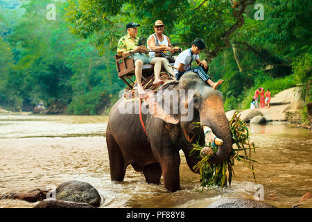 Touristische reiten auf Elefanten Trekking in Thailand junge Touristen sind Reiten auf Elefanten durch den Dschungel im Nationalpark Maetaman Elephant Camp Stockfoto