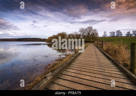 Staunton Harold Reservoir liegt im Herzen des Waldes gelegen, zwischen Derby und Burton on Trent. Stockfoto