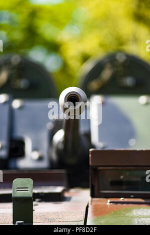 Die runde barrel Gewehr in Rosomak. Stockfoto