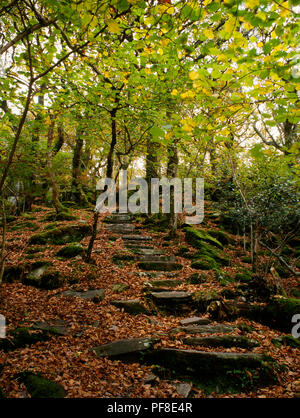 Schiefer Schritte durch Coed Dinorwig Woods, Llanberis, Gwynedd, Wales. Stillgelegte Steinbruch Arbeiter weg zum und vom Schiefer Steinbrüche. Stockfoto