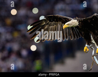 Italien. 18 Aug, 2018. Der Eagle Olimpia während der italienischen Serie A Fußballspiel zwischen S.S. Lazio und S.S.C. Napoli im Olympiastadion in Rom, am 18. August 2018. Credit: Silvia Loré/Pacific Press/Alamy leben Nachrichten Stockfoto