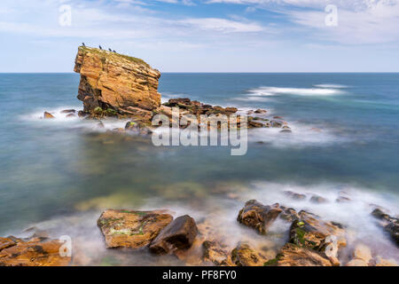 Lange Exposition der Nordsee und Charlie's Garden in Collywell Bay, Seaton Sluice, Northumberland Stockfoto