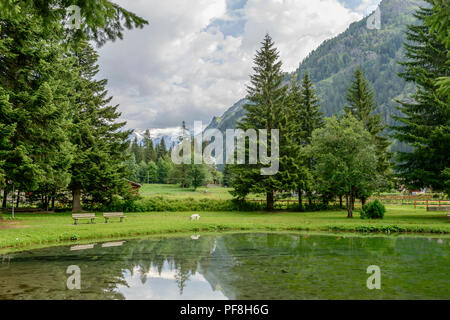Berglandschaft mit Hund spazieren auf der Seite von Gover See, Schuß an einem hellen Sommertag in Gressoney Saint Jean, Lys Valley, Aosta, Italien Stockfoto