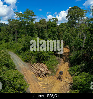 Ein Quadrat, drone Foto von Holz auf einer Protokollierung Straße in Deramakot Forest Reserve, Sabah, Malaysia Borneo Stockfoto