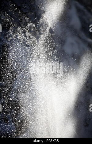 Col de Bleine, Prealpes d'Azur, Alpes Maritimes, 06, PACA, Frankreich Stockfoto