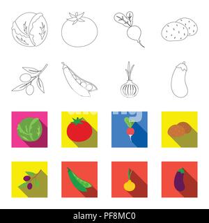 Oliven auf einen Zweig, Erbsen, Zwiebeln, Auberginen. Gemüse Sammlung Symbole in der Gliederungsansicht, flacher Stil vektor Symbol lieferbar Abbildung. Stock Vektor