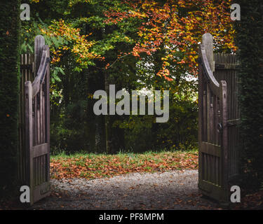 Pfad in den Wald bei Castle Drogo in Devon, England, Vereinigtes Königreich. Stockfoto