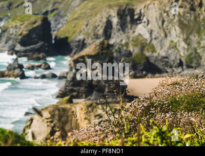 Clifftop an Bedruthan Steps auf der nördlichen Küste von Cornwall in England, Vereinigtes Königreich. Stockfoto