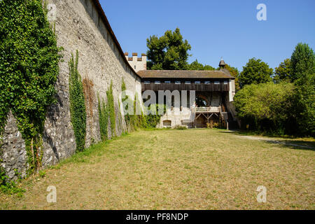 Alte Stadtmauer an Letziplatz, Basel, Schweiz. Stockfoto