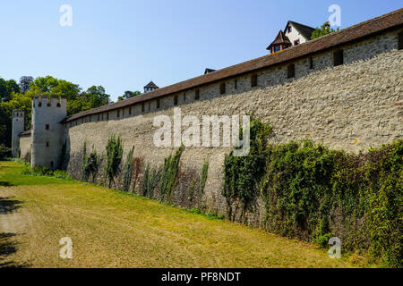 Alte Stadtmauer an Letziplatz, Basel, Schweiz. Stockfoto