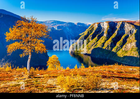 Herbst Farben durch den Aurlandsfjord in Westnorwegen. Stockfoto