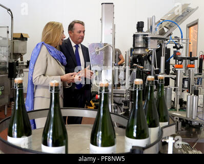 Embargo auf 0001 Dienstag, 21. August 2007 der internationale Handel Sekretär Liam Fox begleitet Baroness Fairhead, Minister für Handel und Export Promotion, die Abfüllung bei einem Besuch der Bolney Weingut in Sussex, vor der Ankündigung der Regierung&Otilde; s Export Strategy am Dienstag. Stockfoto