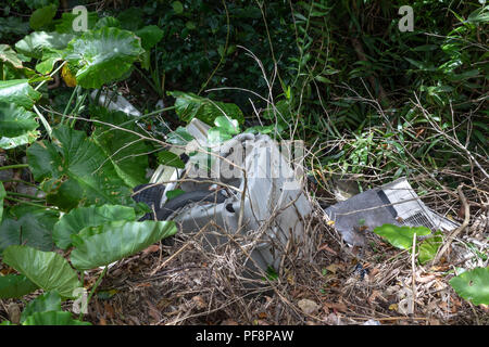 Elektronische Geräte, die in der Natur die gedumpten; Okinawa, Japan Stockfoto