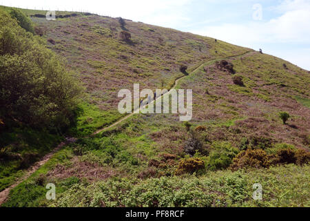 Eine Gruppe von Drei in Henners Combe auf der South West Coastal Path, Somerset, England, UK. Stockfoto